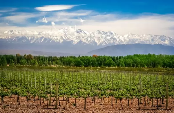 Para todos los bolsillos: tres formas alternativas de recorrer Mendoza