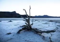 Cambio climtico: un nuevo informe advirti que la temperatura aumentar 1,5 grados hacia 2035