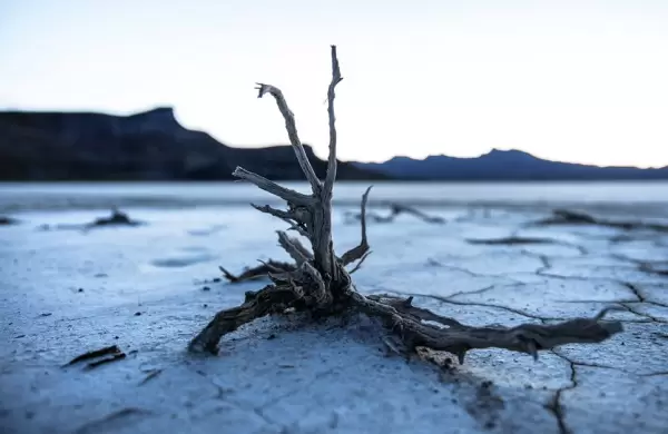 Cambio climático: un nuevo informe advirtió que la temperatura aumentará 1,5 grados hacia 2035