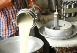 La cooperativa láctea Calcar cierra su última planta en Colonia y pone fin a sus operaciones