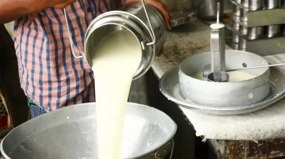 Producción de leche