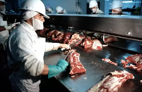 Carne: ya se sabe cul es la mejor, ahora un estudio dice cual es la ms cara y la ms barata