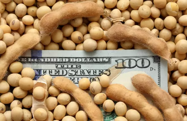 El precio de la soja quedó a menos de un dólar de alcanzar su récord histórico