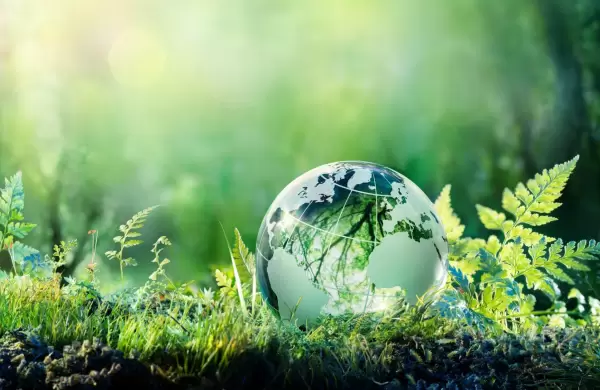 Economía circular, la clave para reducir la huella de carbono