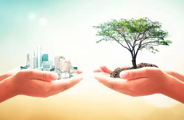 Cómo las empresas pueden volverse cada vez más ecológicas