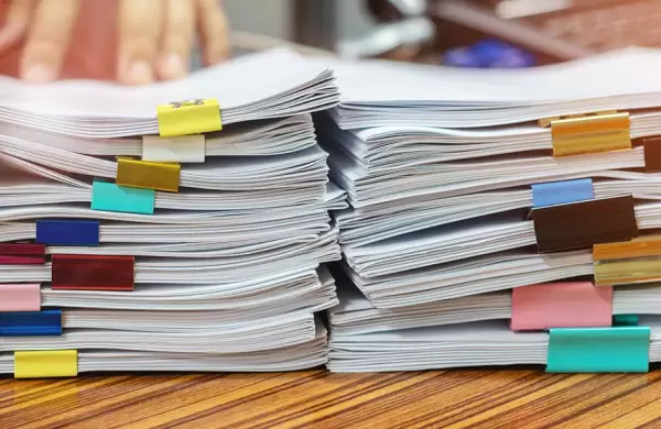 No hay que poner alfombra roja, sino destruir obstculos burocrticos