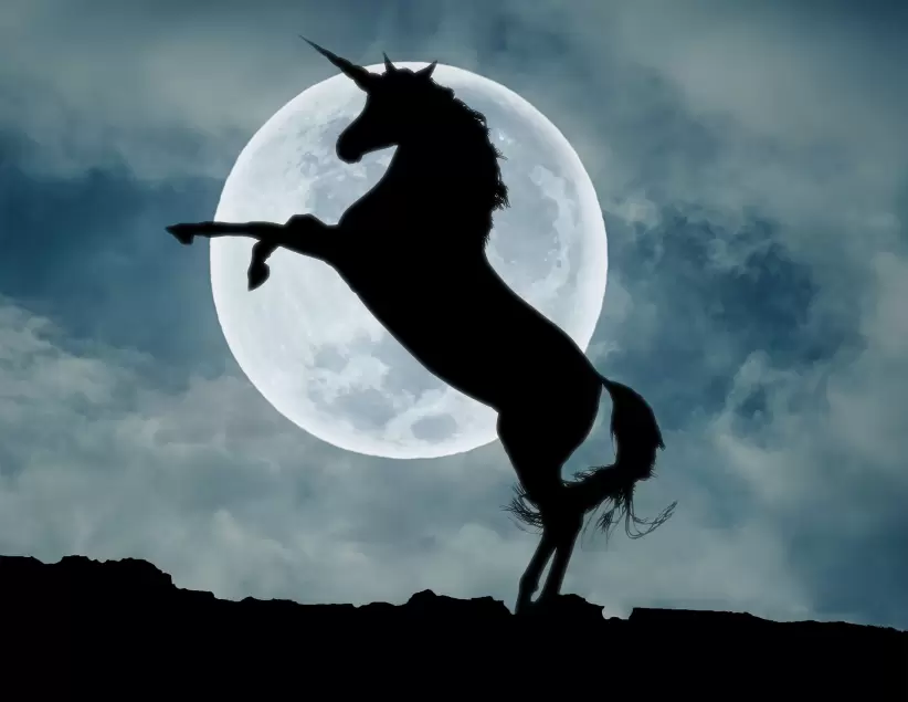 Unicornio (Pixabay) - Unicornio (Pixabay)