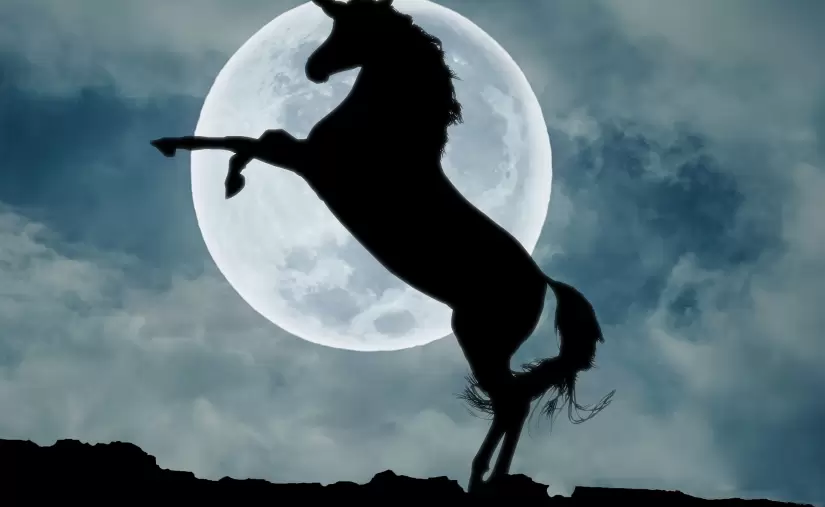 Capital, liderazgo y la fórmula para crear un verdadero unicornio