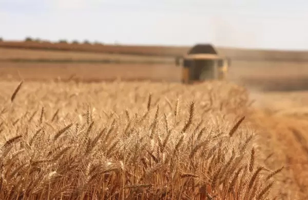 Más importaciones y menos demanda : por qué fabricantes de maquinaria agrícola hablan de "no dejar pasar el último tren"