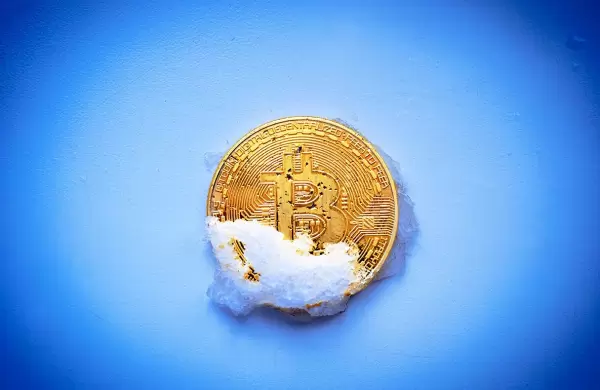 Transparencia en las inversiones: Por qu el trmino "criptoinvierno" es incorrecto y engaoso