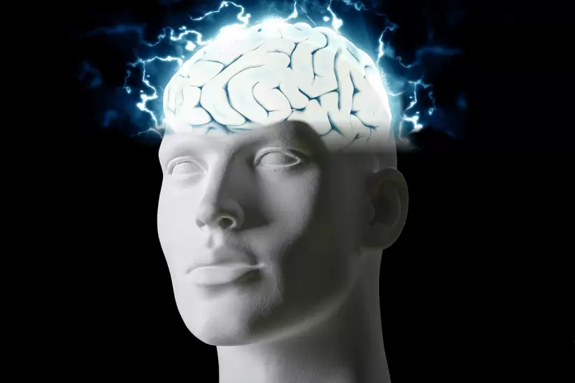 cerebro, mente, inteligencia