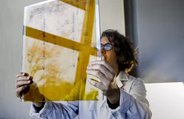 Así son los 29 estudios sobre cannabis medicinal que están en marcha en la Argentina