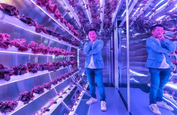 As es Farm66, la startup en la que invierte Jack Ma y que conmueve al mercado con su agricultura vertical en edificios