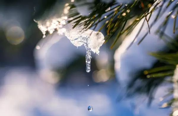 Descongelamiento temprano? Bitcoin monta un "rally sorpresa" mientras se desvanecen los temores del Cryptoinvierno