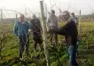 Seis bodegas lograron por primera vez el sello de vitivinicultura sostenible del INAVI