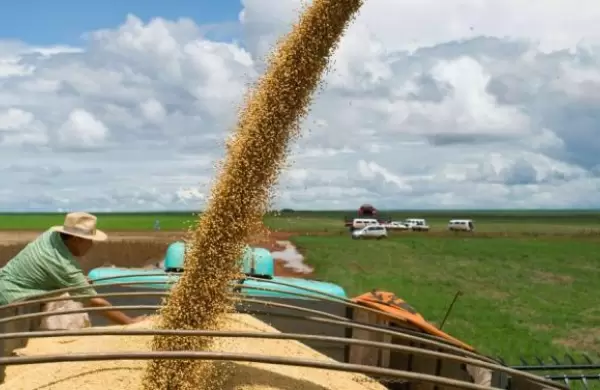 ¿Complicaciones para salir del cepo? El campo ya retiene US$ 3200 millones a la espera de mejores condiciones