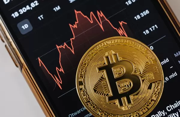 Crypto Crash: Puede que hayas perdido todo si tenas cuenta en esta plataforma