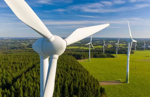 Las acciones de energías renovables se desploman a medida que la ecología se vuelve "cara"