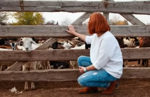 Viajan, descubren lugares y pagan con trabajo: as son los turistas "cuidadores"