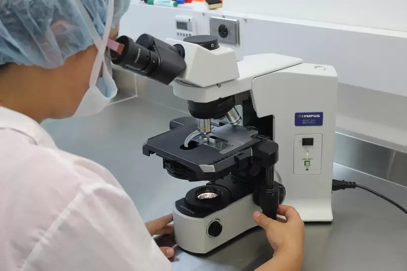 microscopio, laboratorio, diagnóstico