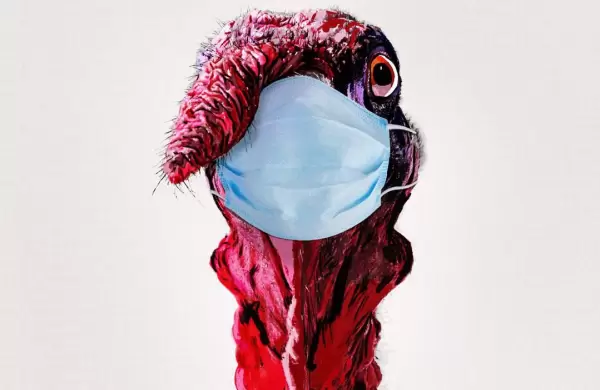 La extraa razn por la que peligra el "Accin de Gracias" en EE.UU.