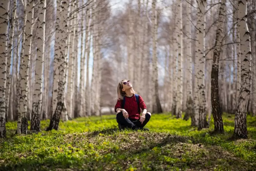 Mujer Sentada Entre árboles sostenibilidad medioambiente