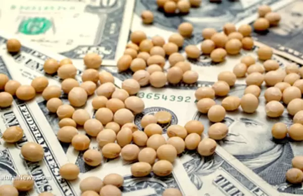 Dólar agro: liquidación alcanzó los US$574 millones y el Banco Central compró US$332 millones