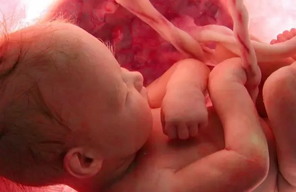 ¿Lo que comen las embarazadas influye en los gustos de los bebés después de nacer? Qué dice la ciencia