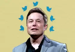 De la verificacin al recuento de visitas: estos son todos los cambios de Twitter con Elon Musk