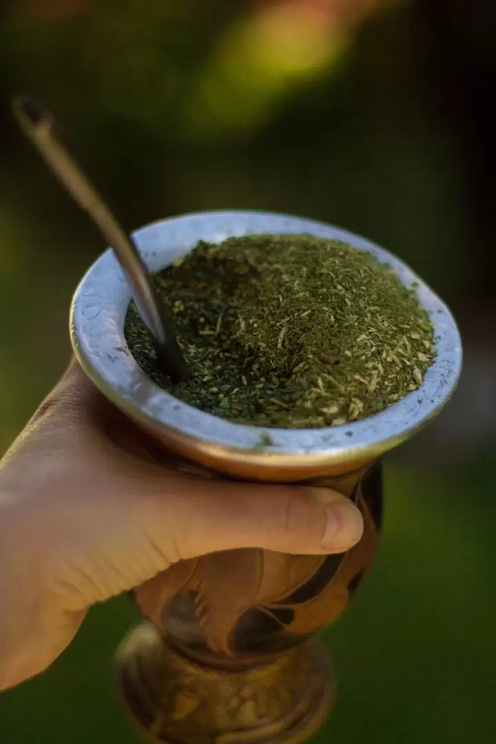 compaero, mate, la yerba mate