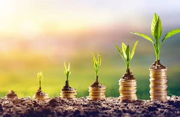 Cómo aprovechar la "agricultura de ventas" para que un negocio crezca y sea rentable