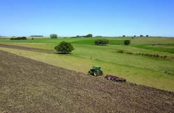 La rentabilidad, un factor decisivo para invertir en tierras