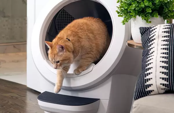 Así es la compañía que usa robots para lidiar con desechos de gato y tiene ventas galácticas