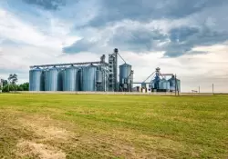 El nitrgeno, la tecnologa invisible detrs de la produccin de alimentos: Qu es, cmo se obtiene y cmo puede utilizarse