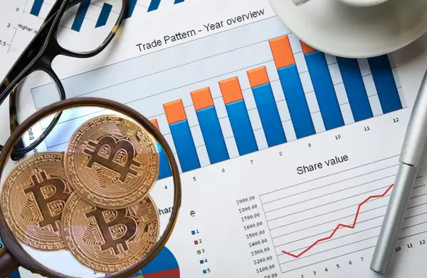 Lemon muestra sus activos y pasivos para que los usuarios comprueben la solvencia de la empresa