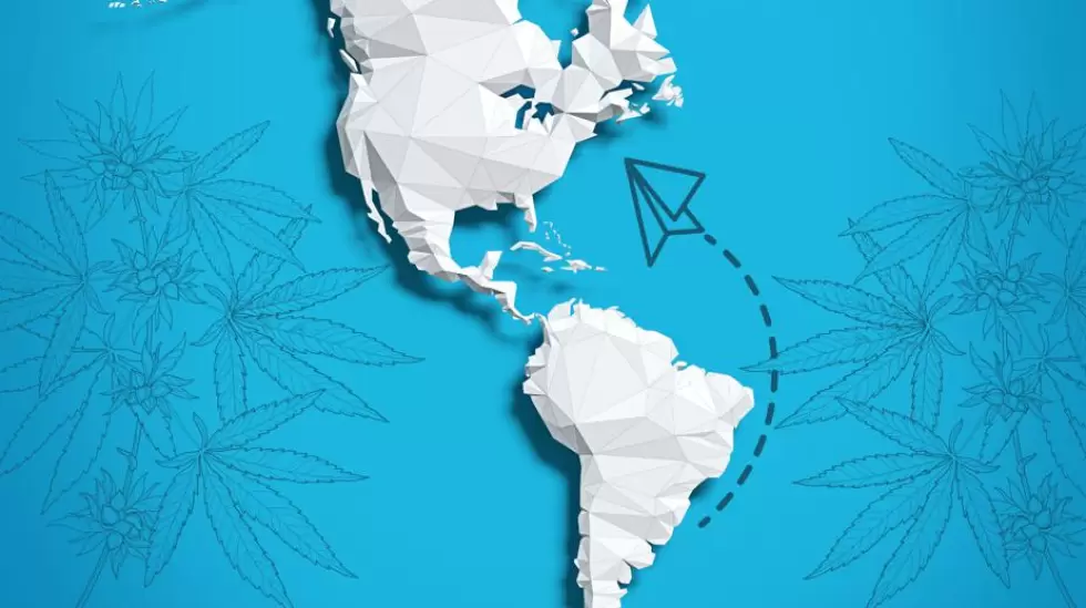 Cannabis Uruguay a EEUU