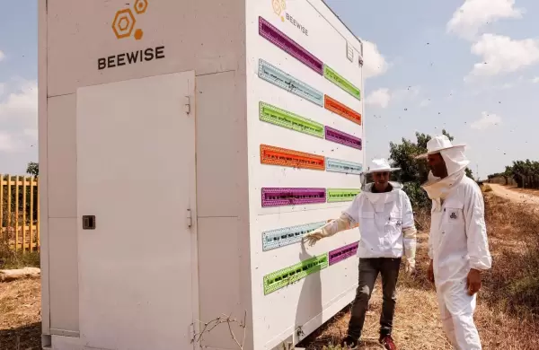 Colmenas robóticas, drones cultivadores y tractores autónomos: la tecnología que se impone en el agro