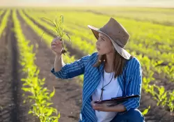 Segn una encuesta, siete de cada 10 profesionales del agro considera que falta tecnificar al sector