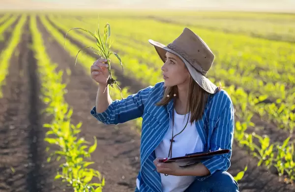 Según una encuesta, siete de cada 10 profesionales del agro considera que falta tecnificar al sector