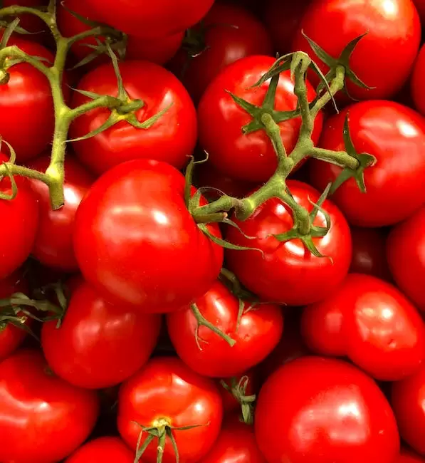 Lote De Tomates