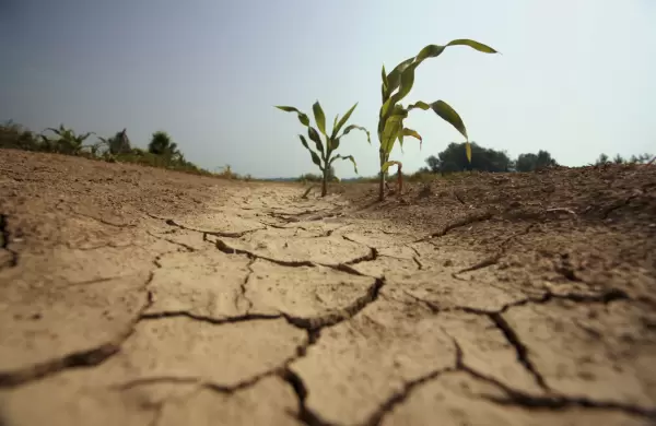 La economa uruguaya se contrajo 1,4% en el segundo trimestre