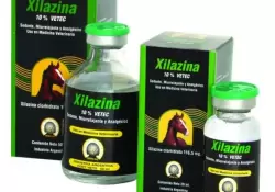 Estados Unidos declara la xilazina o "droga zombi" como una amenaza para la nacin