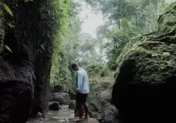 Qu significa para los pases latinoamericanos la nueva ley europea "Deforestation free"