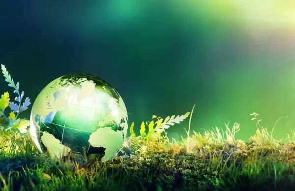 Blockchain y sustentabilidad: cómo usar esta tecnología a favor del medio ambiente