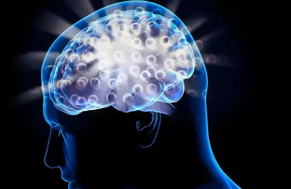 Hacia la memoria infinita: se vienen nuevas tecnologías para resolver el gran problema de su agotamiento