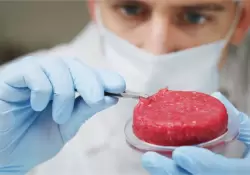 Cules son los mitos y los peligros detrs del negocio de la carne cultivada en laboratorio