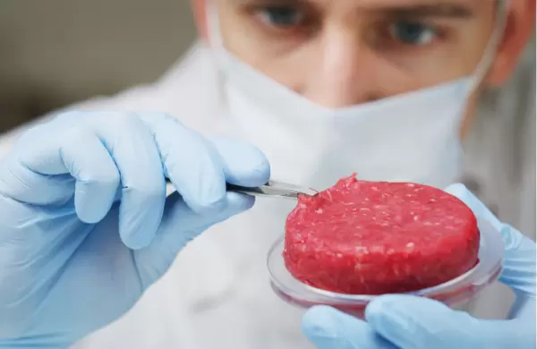 Cules son los mitos y los peligros detrs del negocio de la carne cultivada en laboratorio