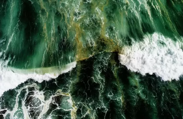 Cambio climático: el 56% de los océanos del mundo se vuelve cada vez más verde por culpa del Hombre