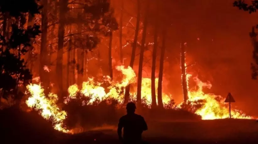 Europa sufre un verano con calores récord que provocan incendios