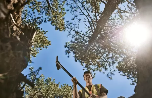 Por qu el mercado de los "crditos de carbono" puede ser un fiasco